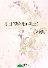 冬日的骄阳(网王)